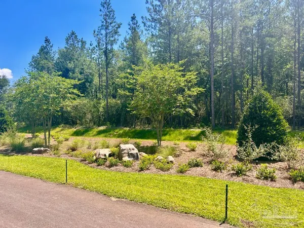 a view of a park with trees