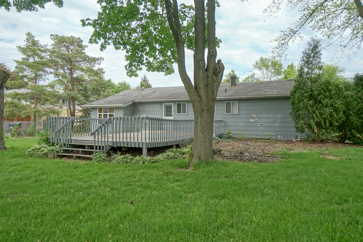 1010 North Elmhurst Road Prospect Heights, IL 60070 - Photo 15 of 15 a view of a house with a yard and a large tree