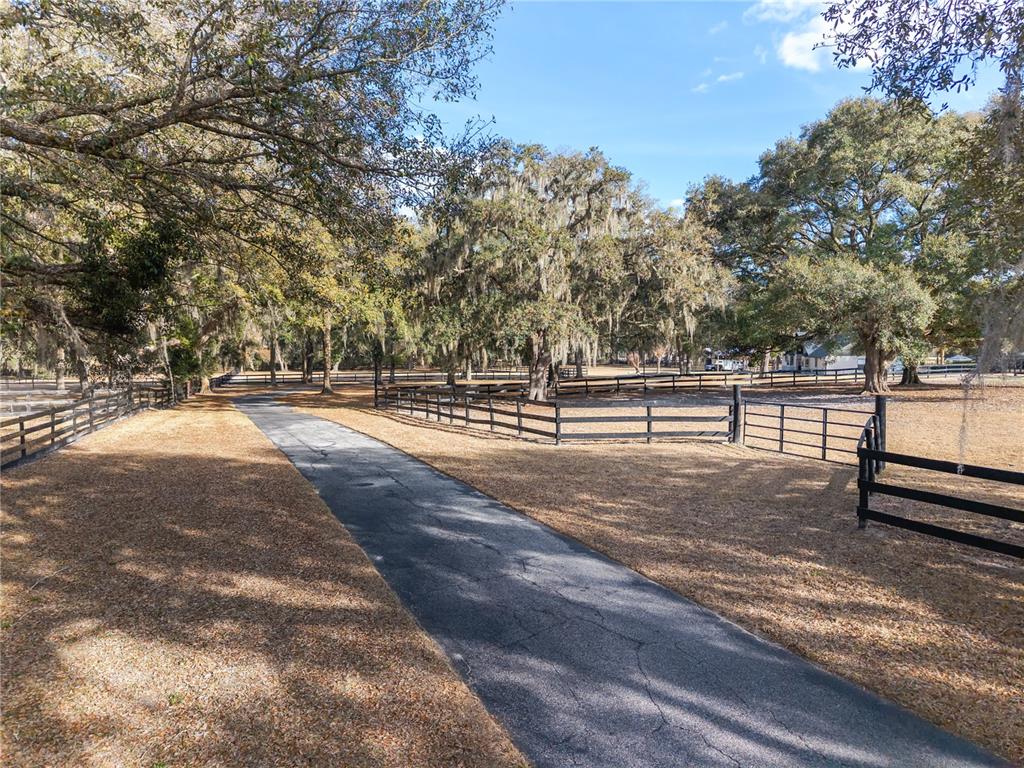 12 Carry Back Road Ocala, FL 34482 - Photo 73 of 88