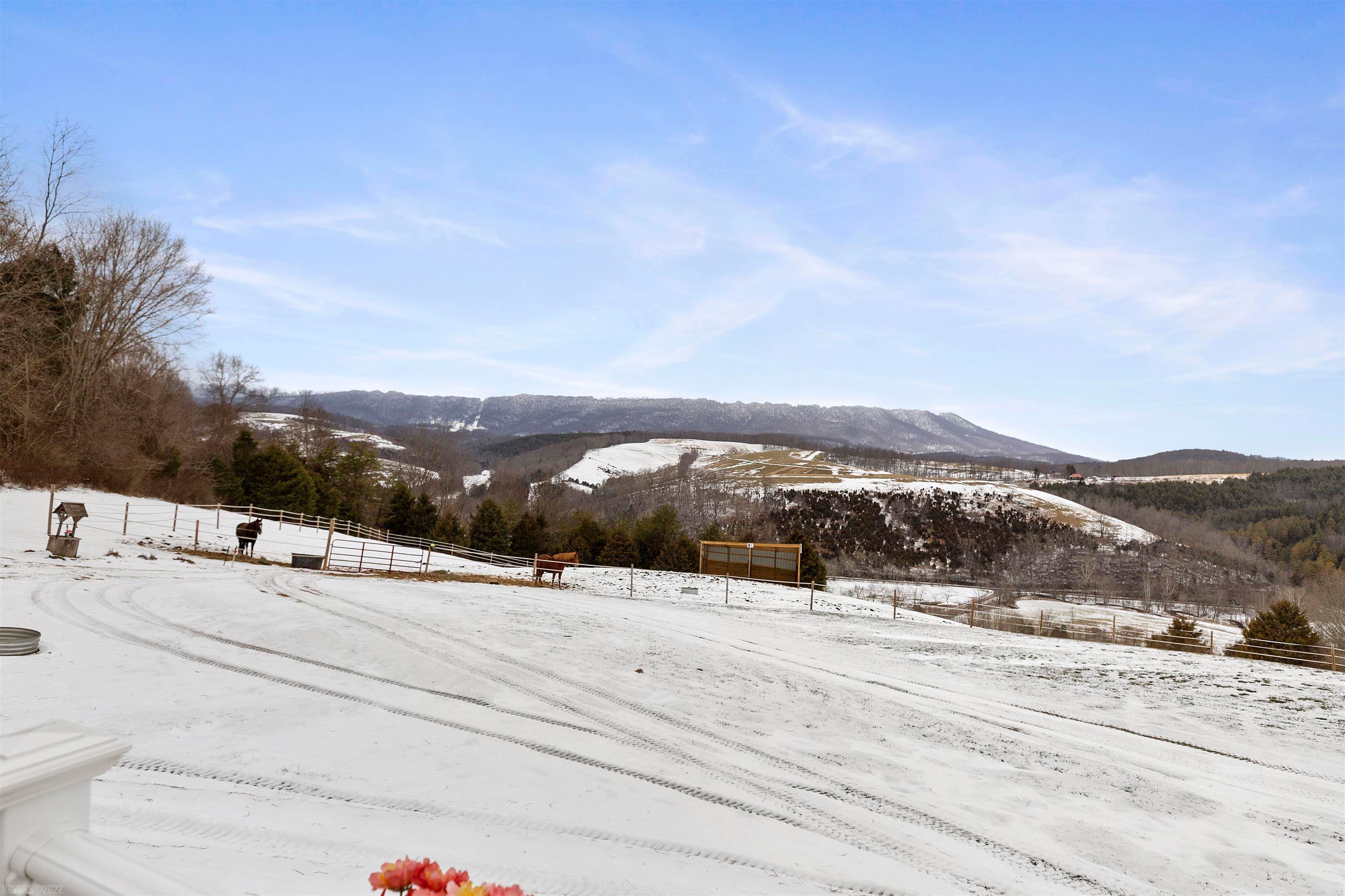 1760 Spring Valley Road Staffordsville, VA 24167 - Photo 61 of 87 Gallery Image 61