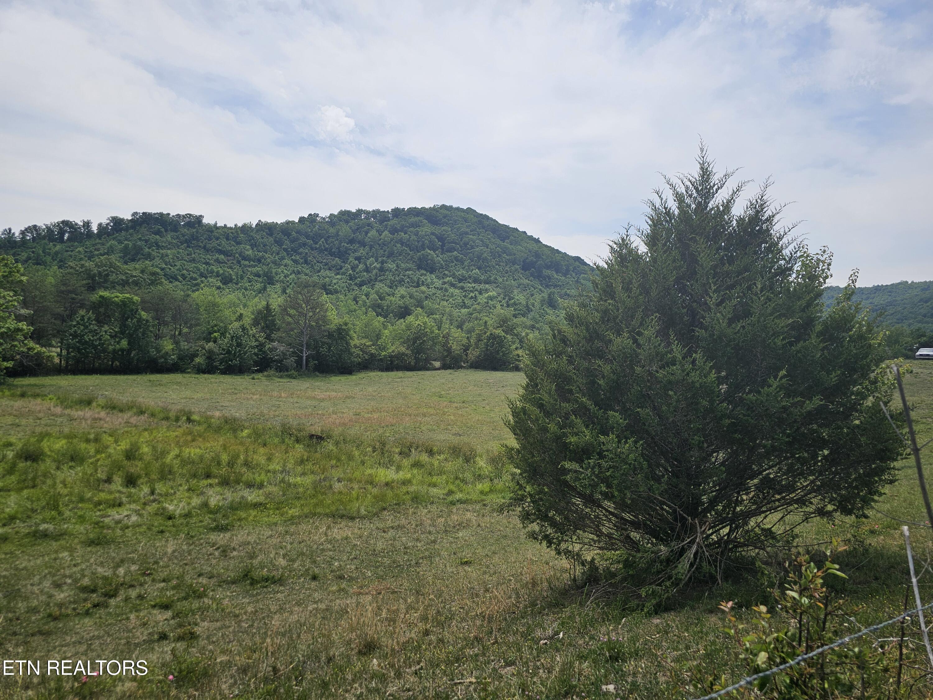 275 Republican Hill Road Newcomb, TN 37819 - Photo 20 of 34 Land