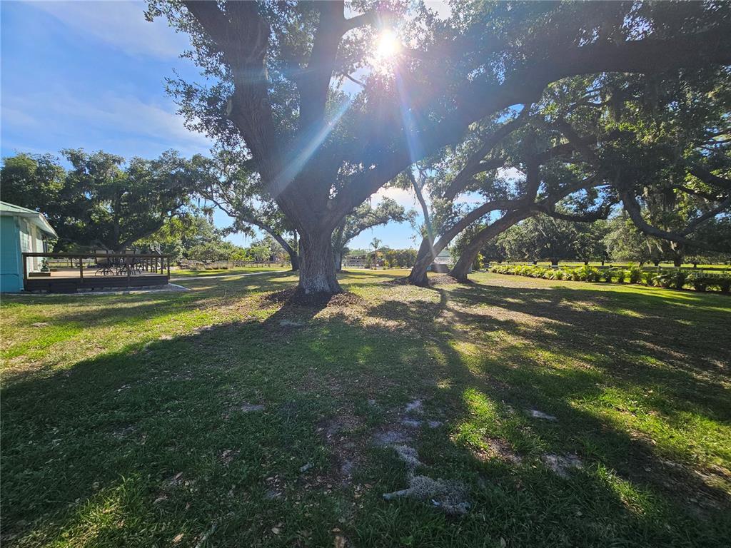 5925 Spencer Parrish Road Parrish, FL 34219 - Photo 19 of 66