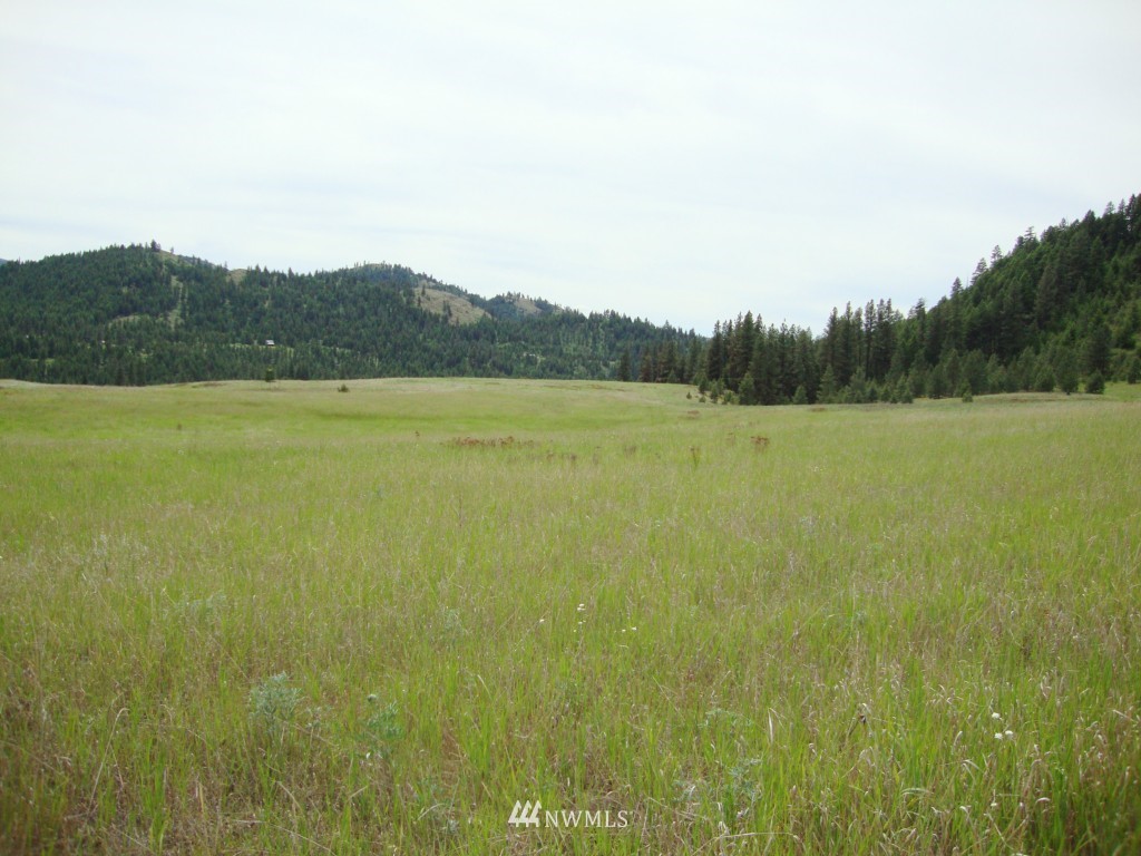 3 Malo Lake Road Malo, WA 99150 - Photo 1 of 1 Gallery Image 1
