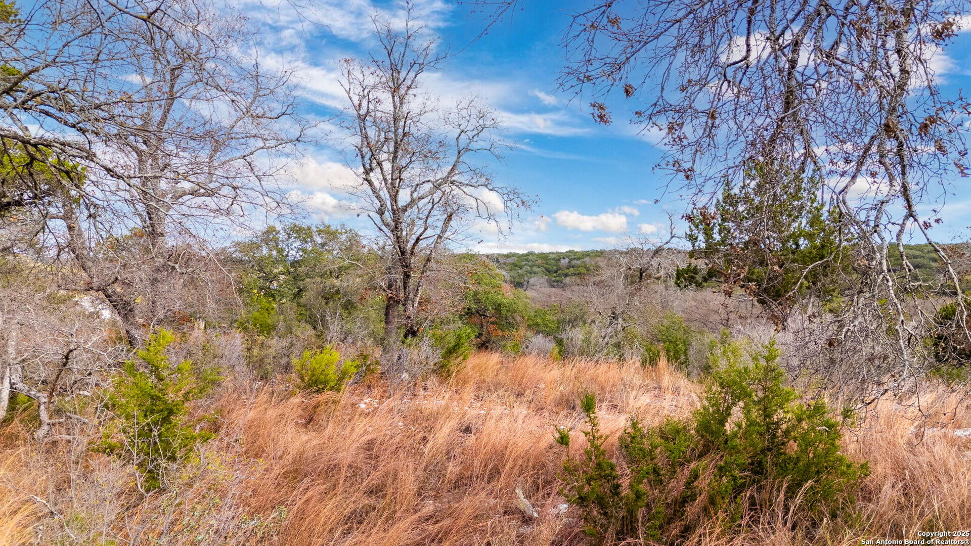 Lot 12 Landmark Ridge Bergheim, TX 78004 - Photo 12 of 16