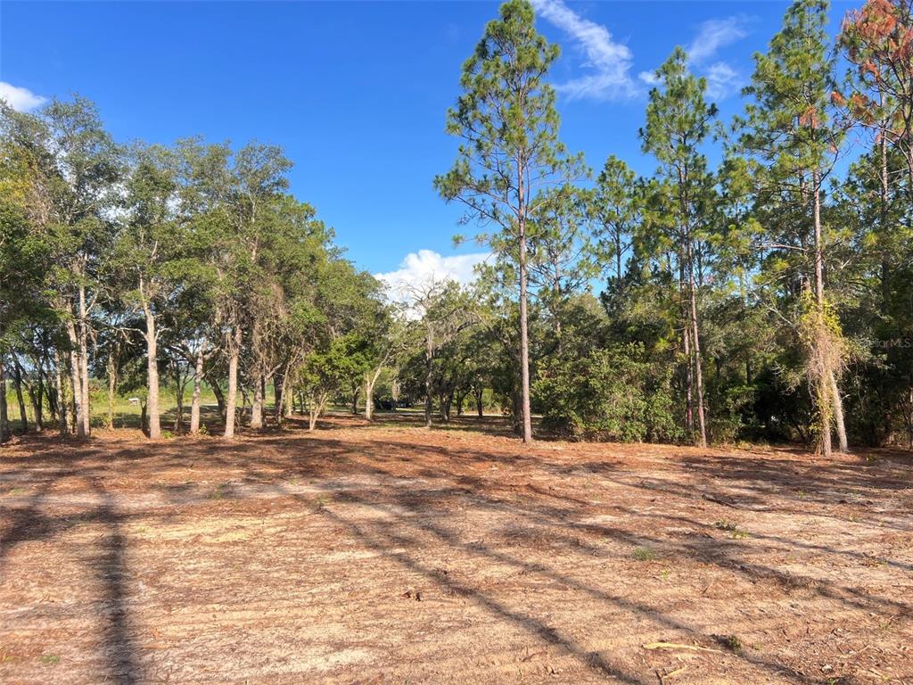 Levy Street Williston, FL 32696 - Photo 3 of 26