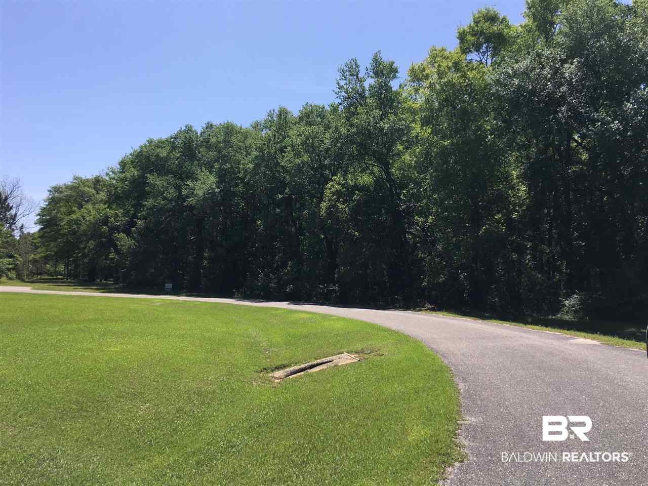 0 Chene Trace Robertsdale, AL 36567 - Photo 4 of 5