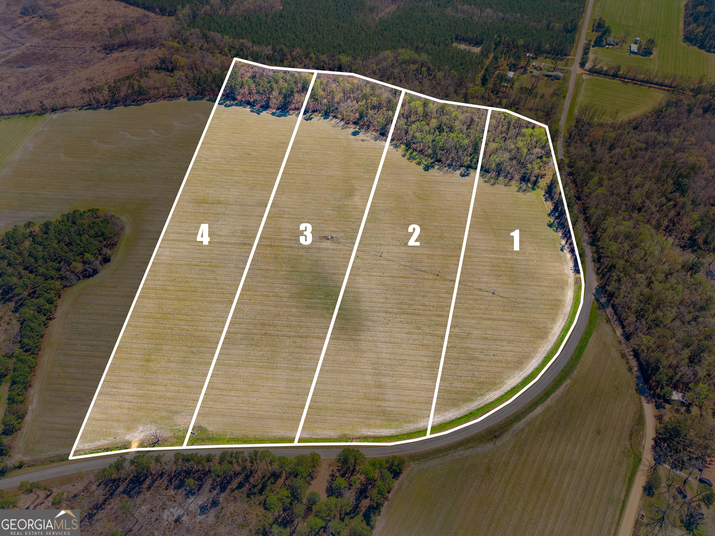 0 Stilson-Leefield Road Brooklet, GA 30415 - Photo 2 of 12