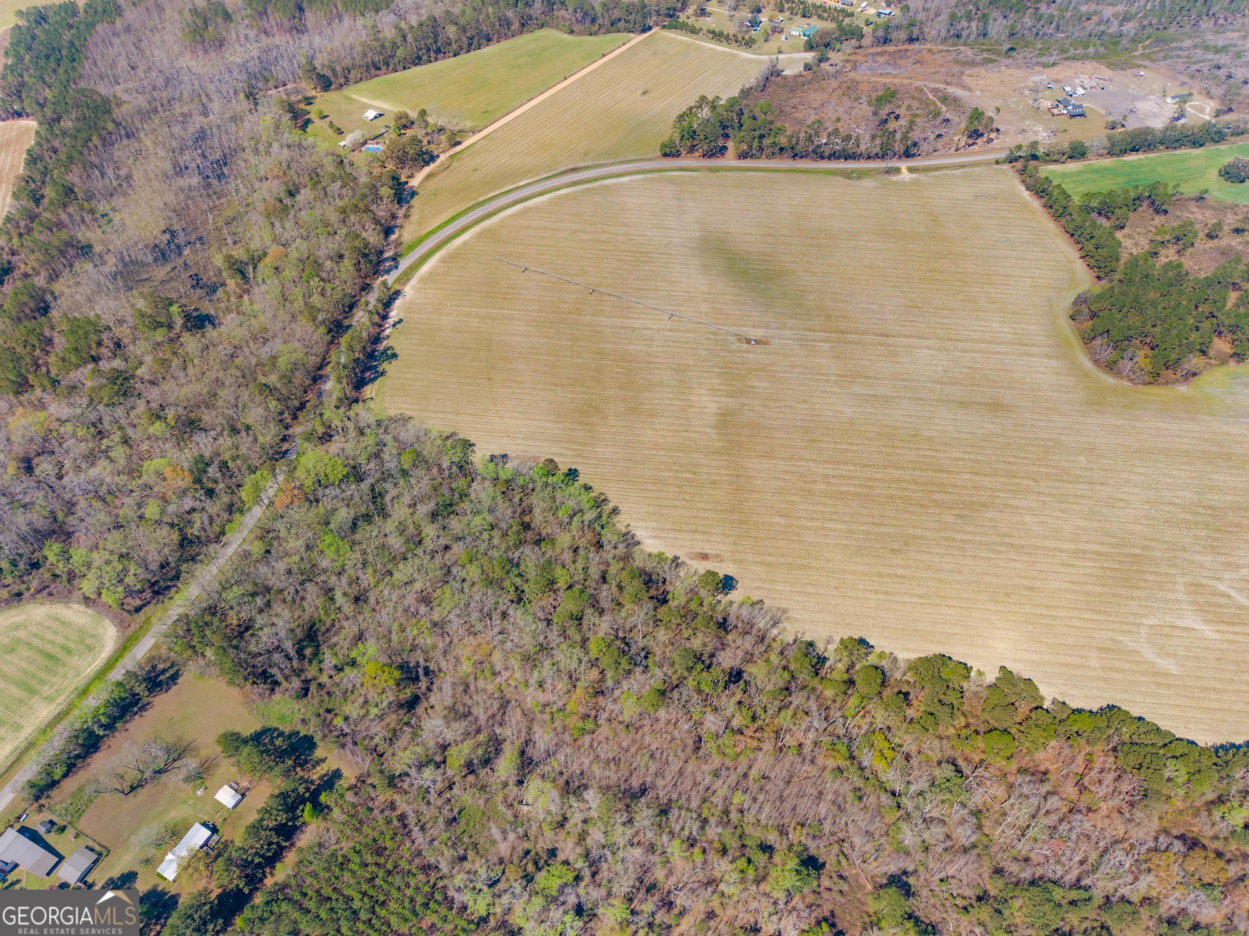 0 Stilson-Leefield Road Brooklet, GA 30415 - Photo 6 of 12