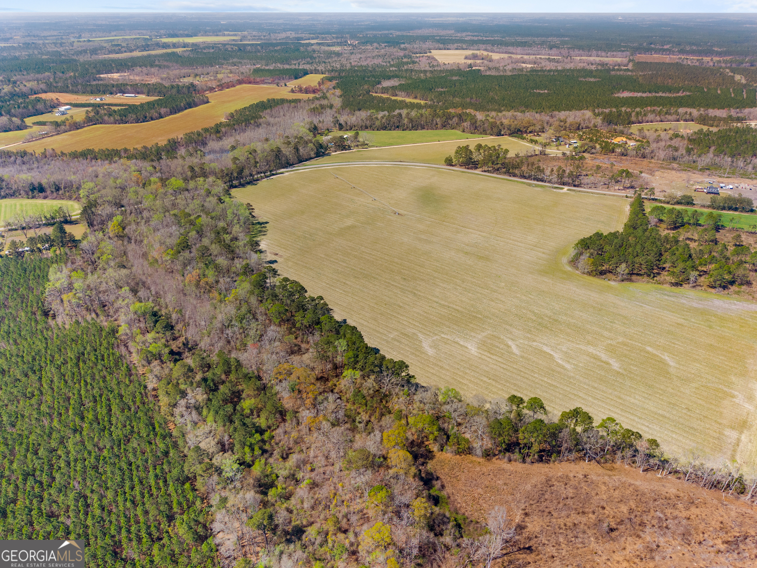 0 Stilson-Leefield Road Brooklet, GA 30415 - Photo 9 of 12