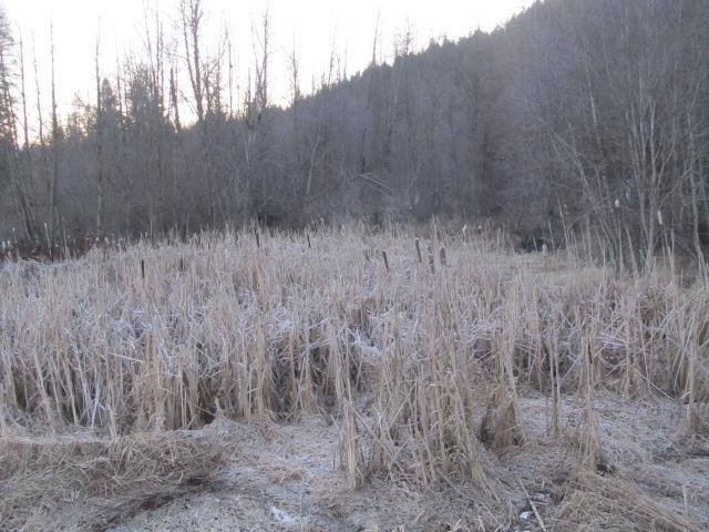 2275 Cedonia-Addy Road Addy, WA 99101 - Photo 17 of 18