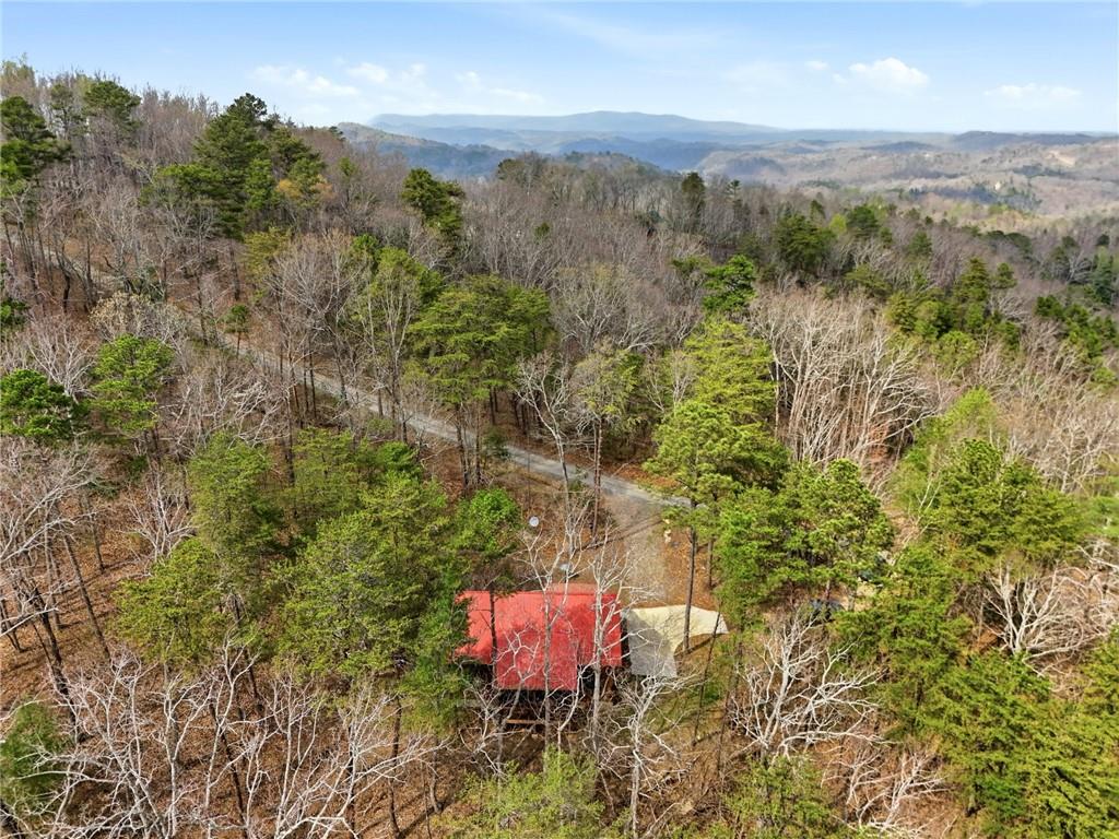 1041 Astro Court Northeast Ranger, GA 30734 - Photo 43 of 52