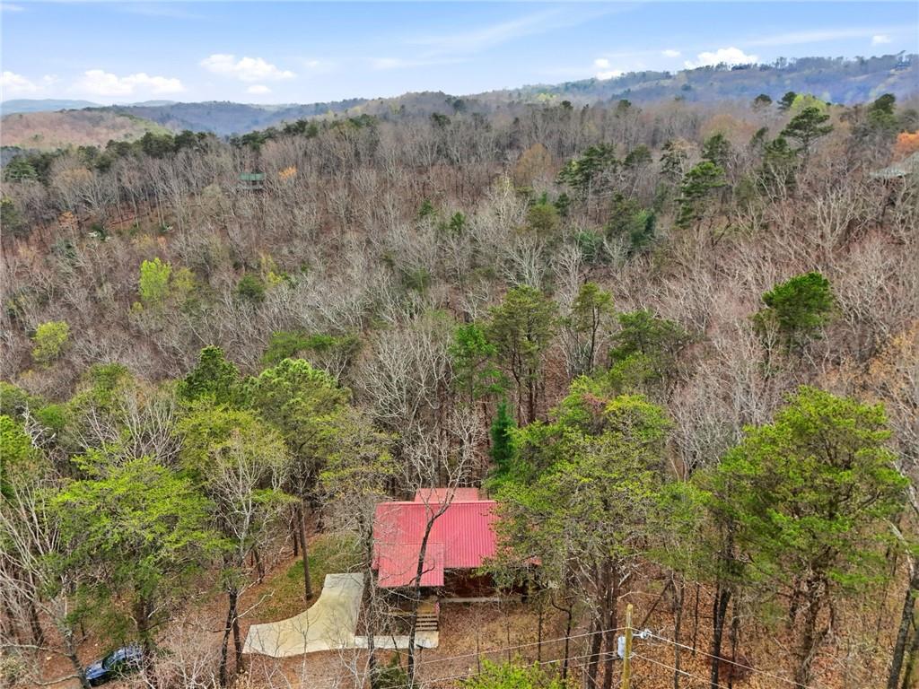 1041 Astro Court Northeast Ranger, GA 30734 - Photo 44 of 52