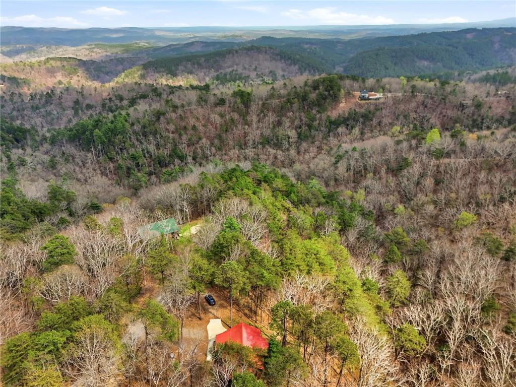 1041 Astro Court Northeast Ranger, GA 30734 - Photo 45 of 52