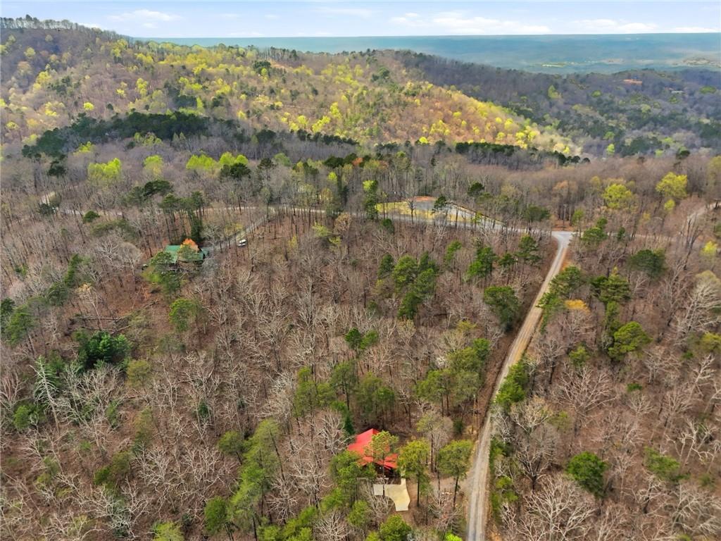 1041 Astro Court Northeast Ranger, GA 30734 - Photo 46 of 52