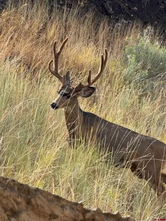 $929,000 | 24 Sage Hill Court, Durango, CO 81301