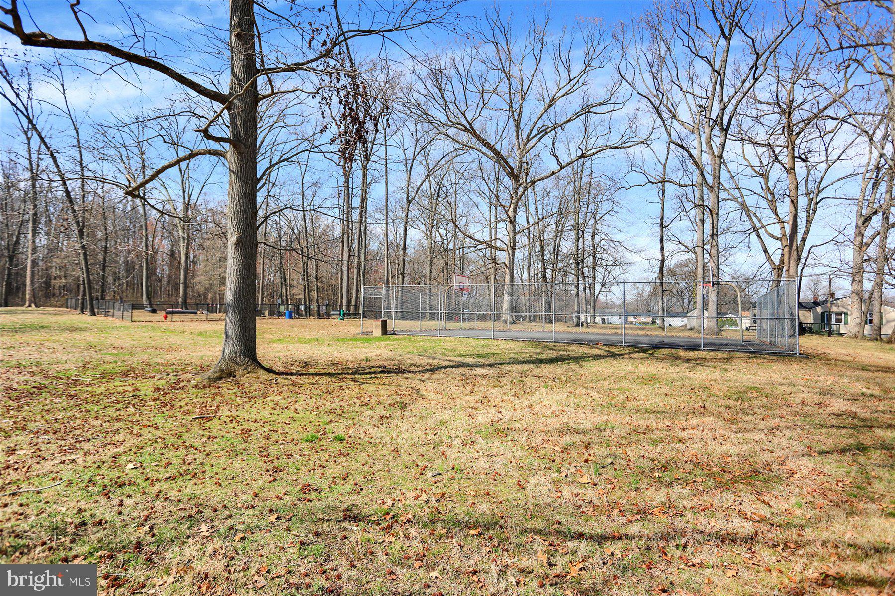 70 Swan Street Aberdeen, MD 21001 - Photo 28 of 31 a view of yard with large trees