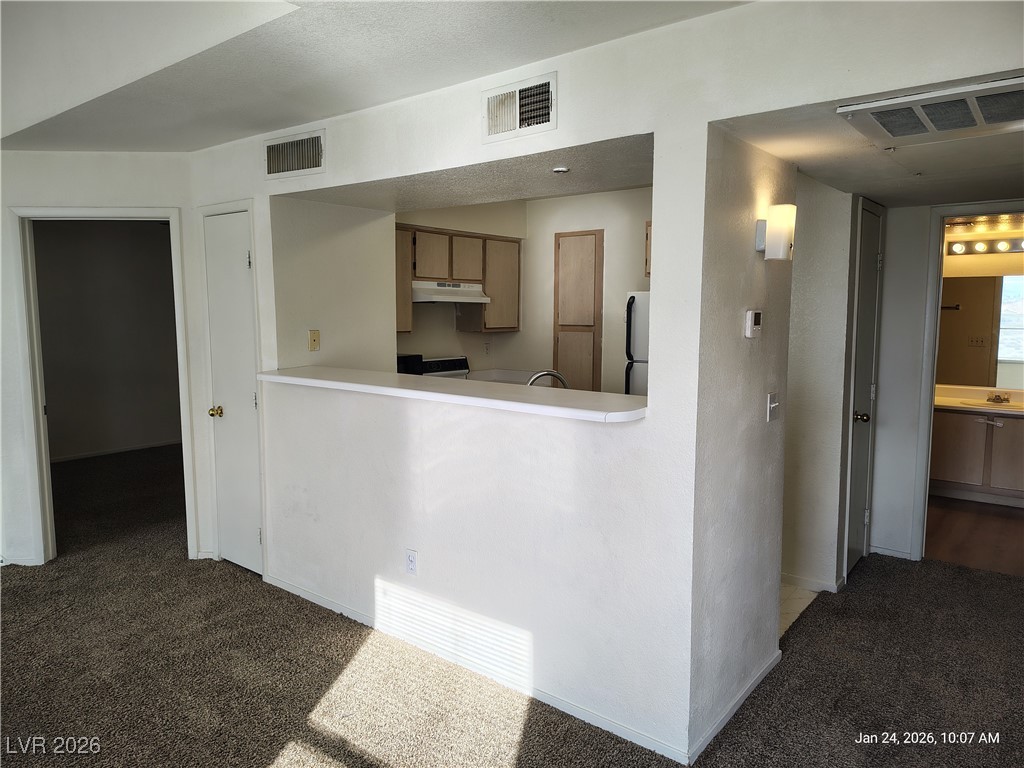 8101 West Flamingo Road, Unit 2088 Las Vegas, NV 89147 - Photo 12 of 18