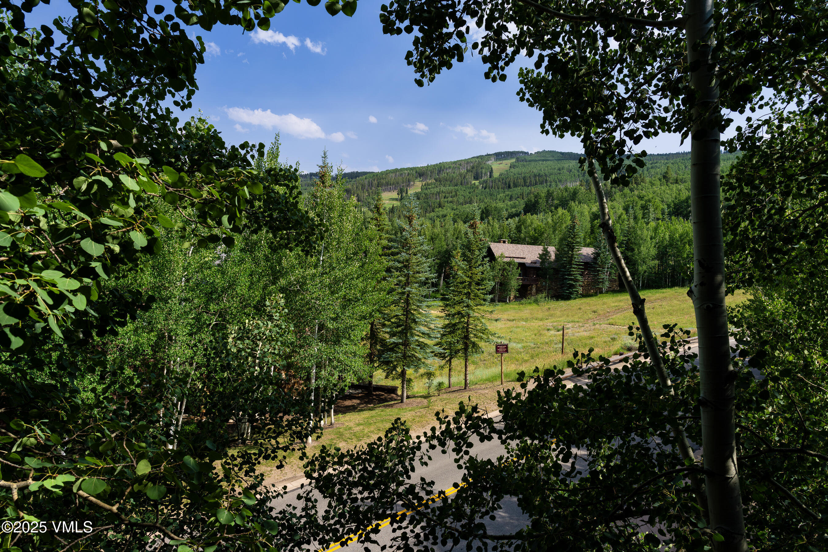 1087 Bachelor Ridge Road, Unit 201 Beaver Creek, CO 81620 - Photo 14 of 35 201_Settler's_Lodge_052