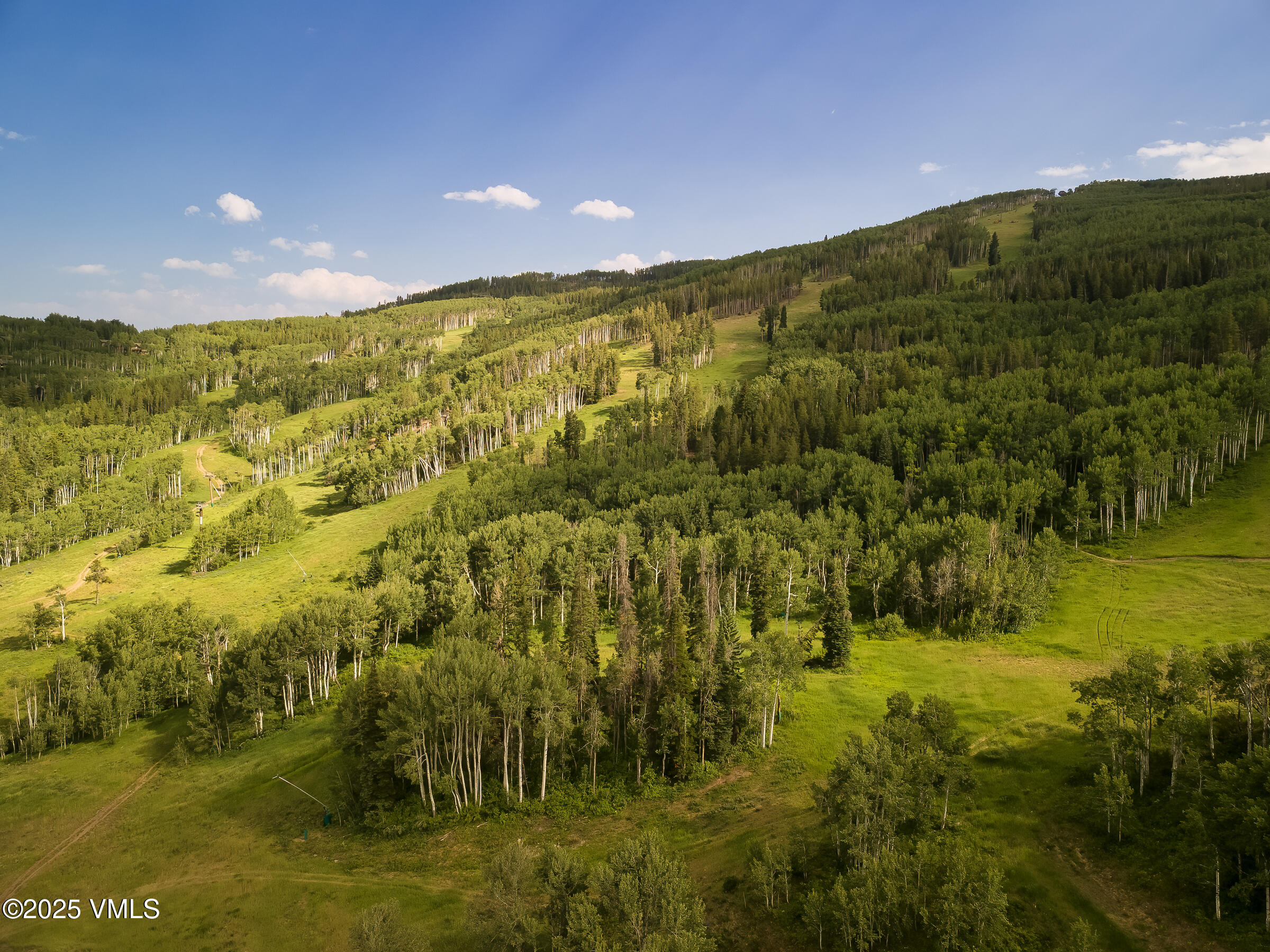 1087 Bachelor Ridge Road, Unit 201 Beaver Creek, CO 81620 - Photo 34 of 35 201_Settler's_Lodge_074