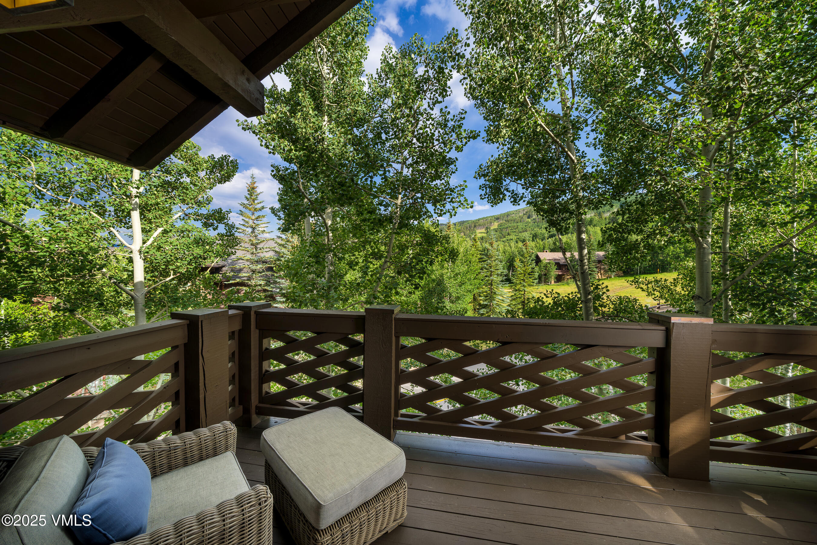 1087 Bachelor Ridge Road, Unit 201 Beaver Creek, CO 81620 - Photo 8 of 35 201_Settler's_Lodge_046