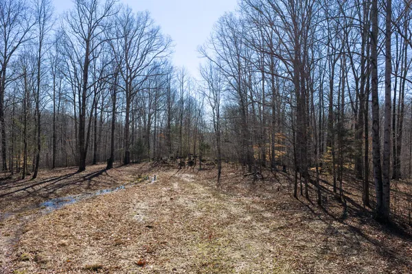 $1,700,000 | 0 Wildcat Road, Dickson, TN 37055