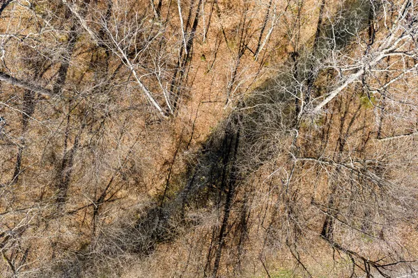 $1,700,000 | 0 Wildcat Road, Dickson, TN 37055