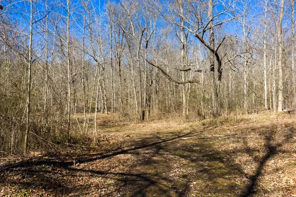 $1,700,000 | 0 Wildcat Road, Dickson, TN 37055