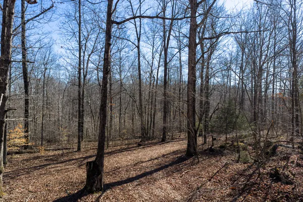 a view of a backyard of the house