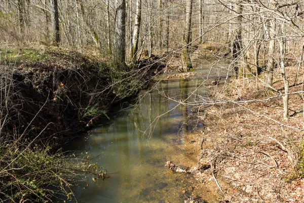 a close up of a wall with a dry yard