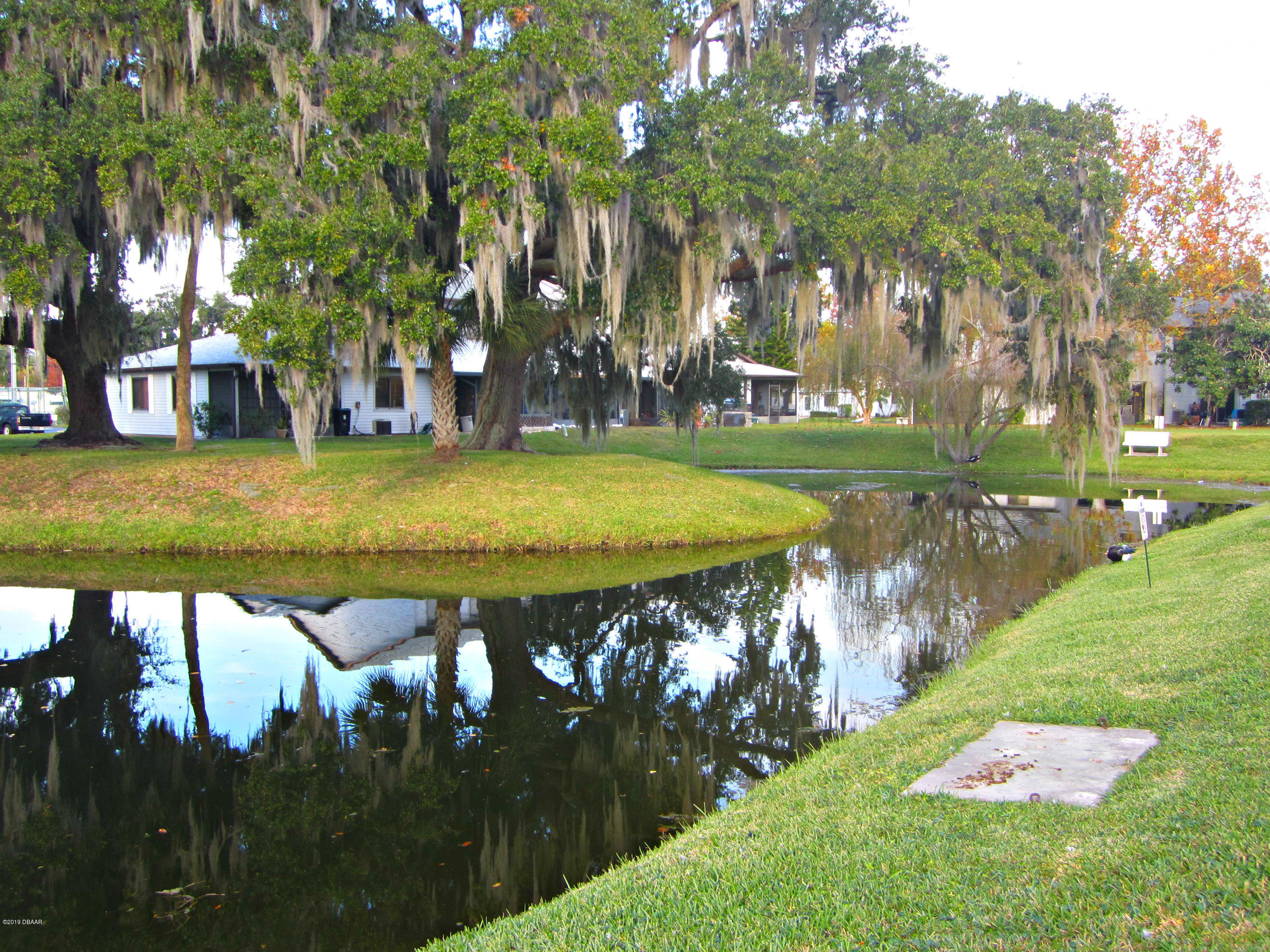 1803 Deer Springs Road Port Orange, FL 32129 - Photo 4 of 39 Pond