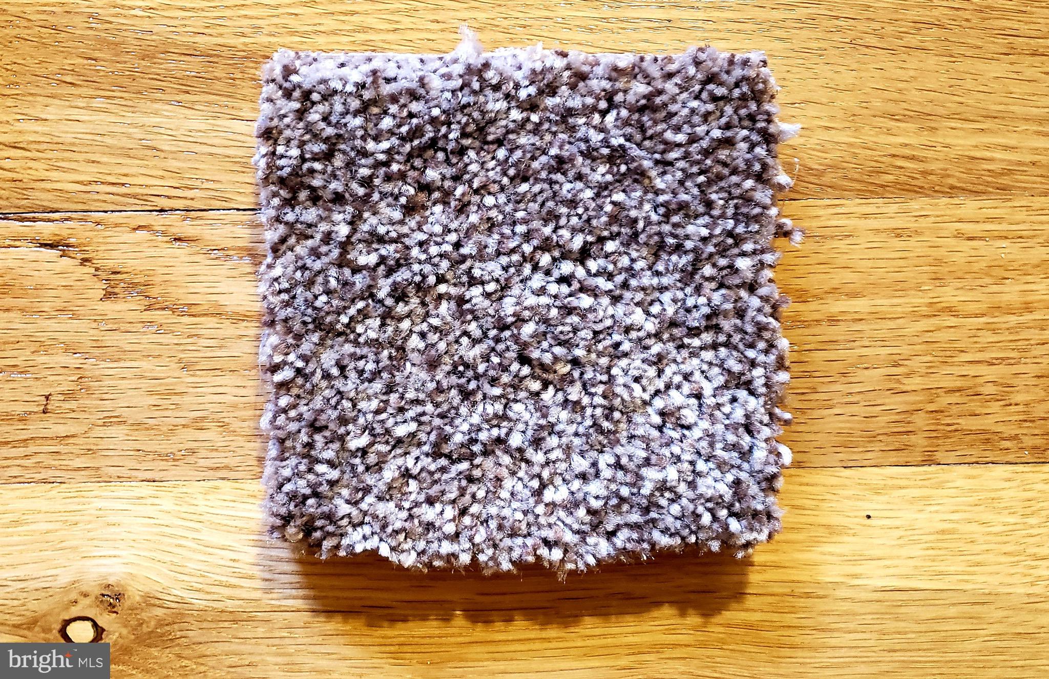 1111 Fordham Road Neptune, NJ 07753 - Photo 16 of 20 Swatch of new carpet for entire downstairs