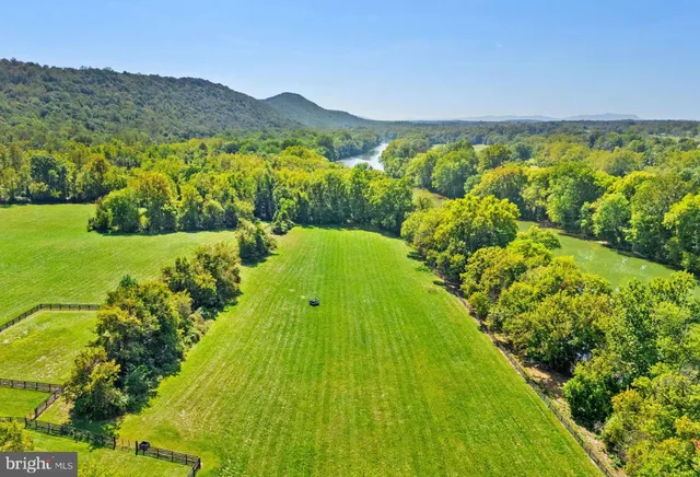 a view of a lush green hillside and an ocean view