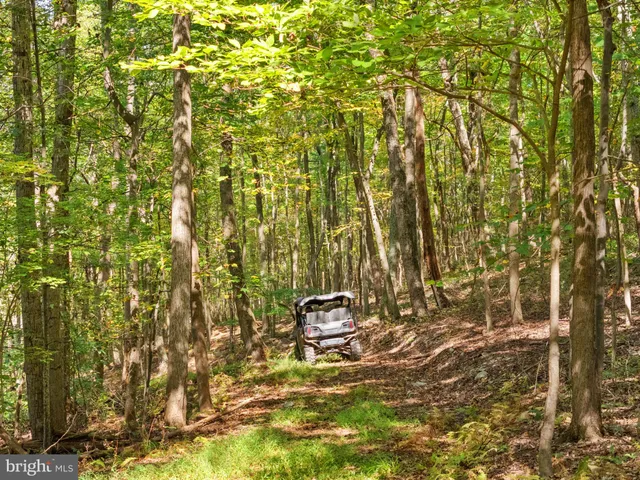 a view of sunset and yard