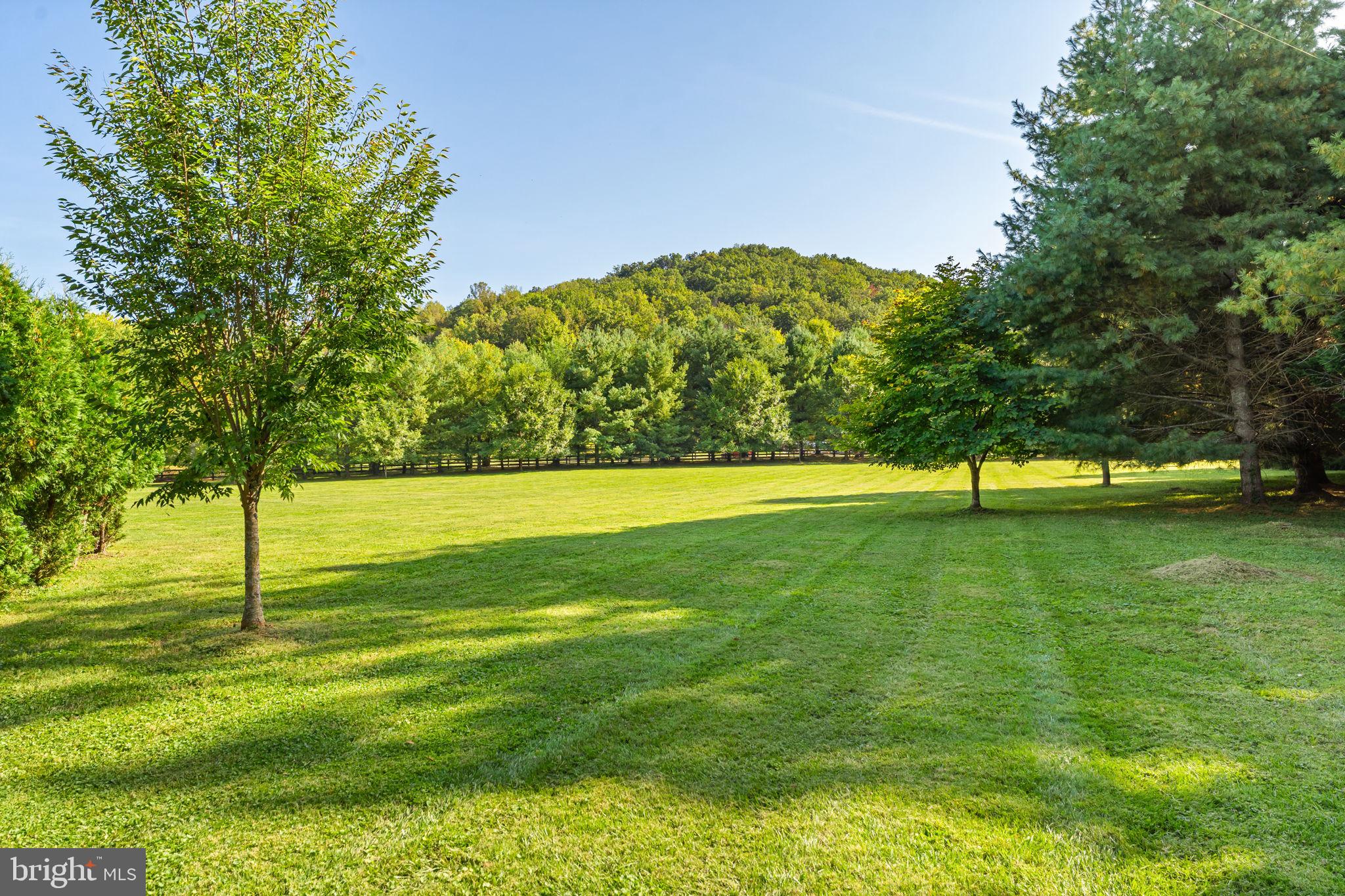 9533 Howellsville Road Boyce, VA 22620 - Photo 61 of 65 a view of a trees with a yard