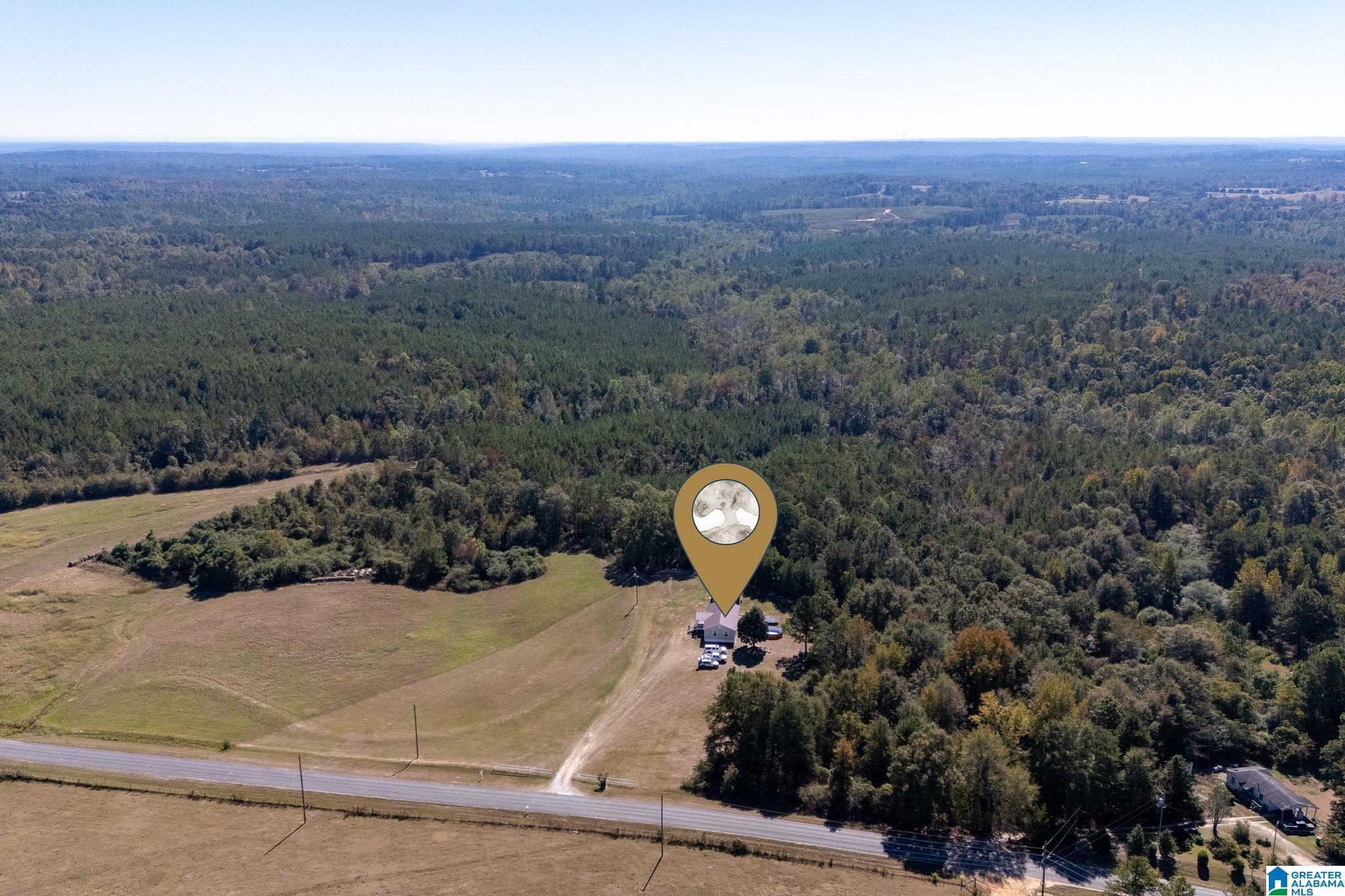 4455 County Road 447 Verbena, AL 36091 - Photo 45 of 51