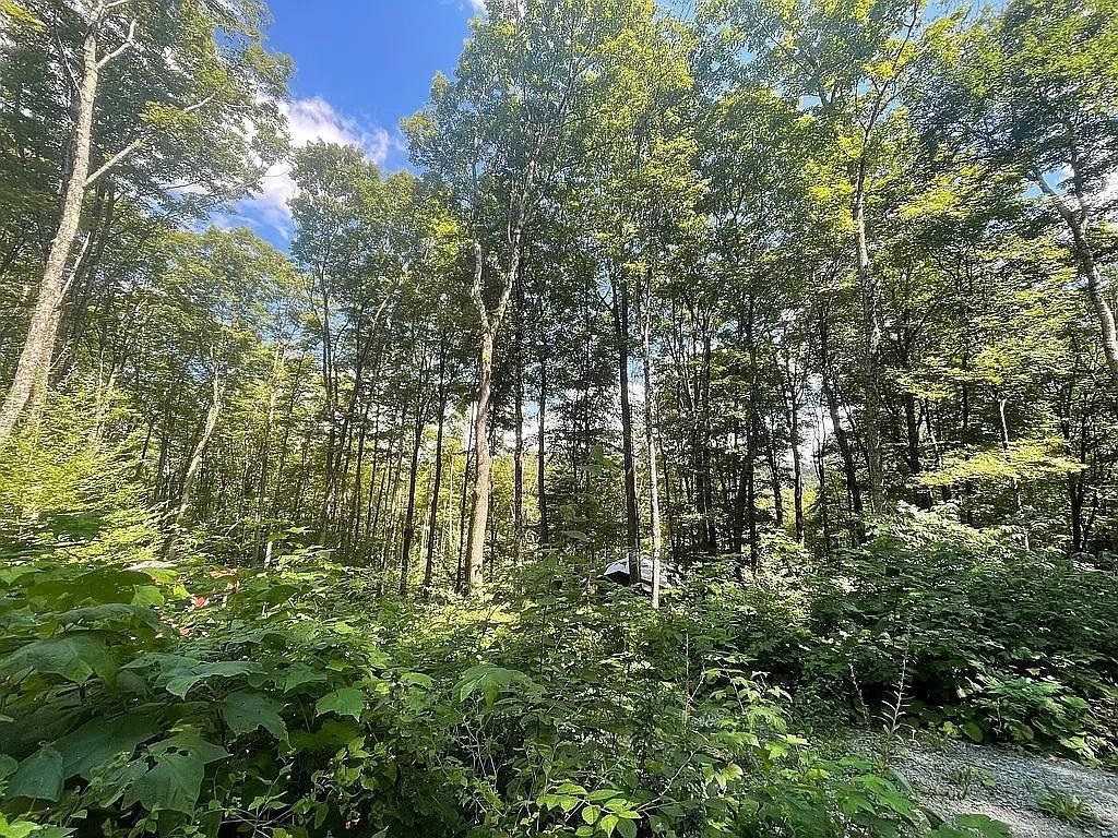 126 Downing Road Topsham, VT 05076 - Photo 2 of 17