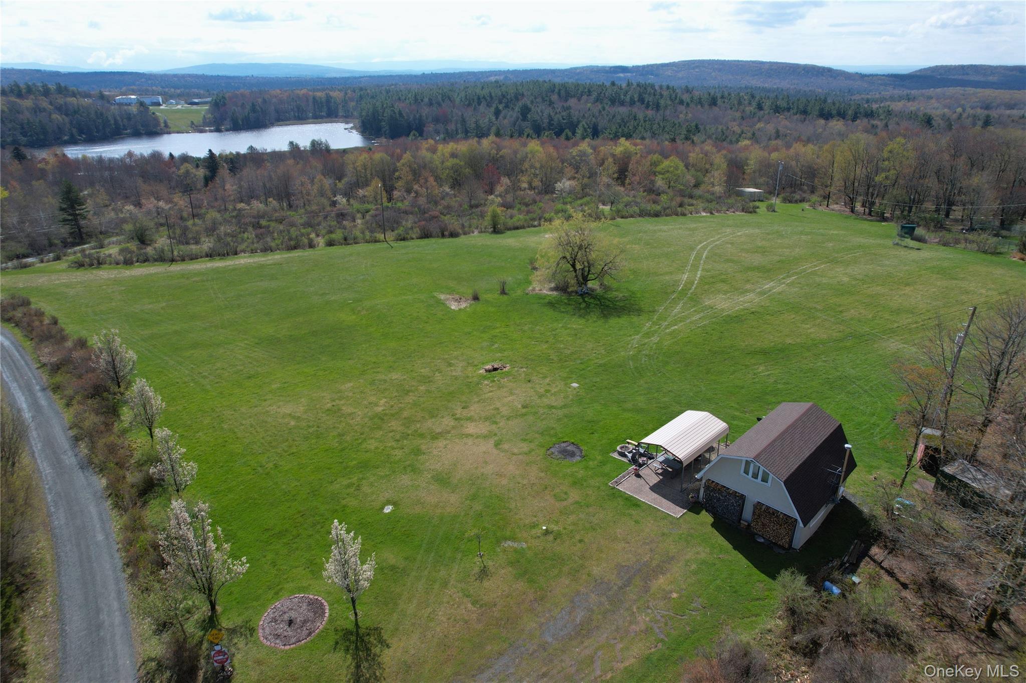 48 Mullen Road Parksville, NY 12768 - Photo 1 of 35 a view of a lake with a yard