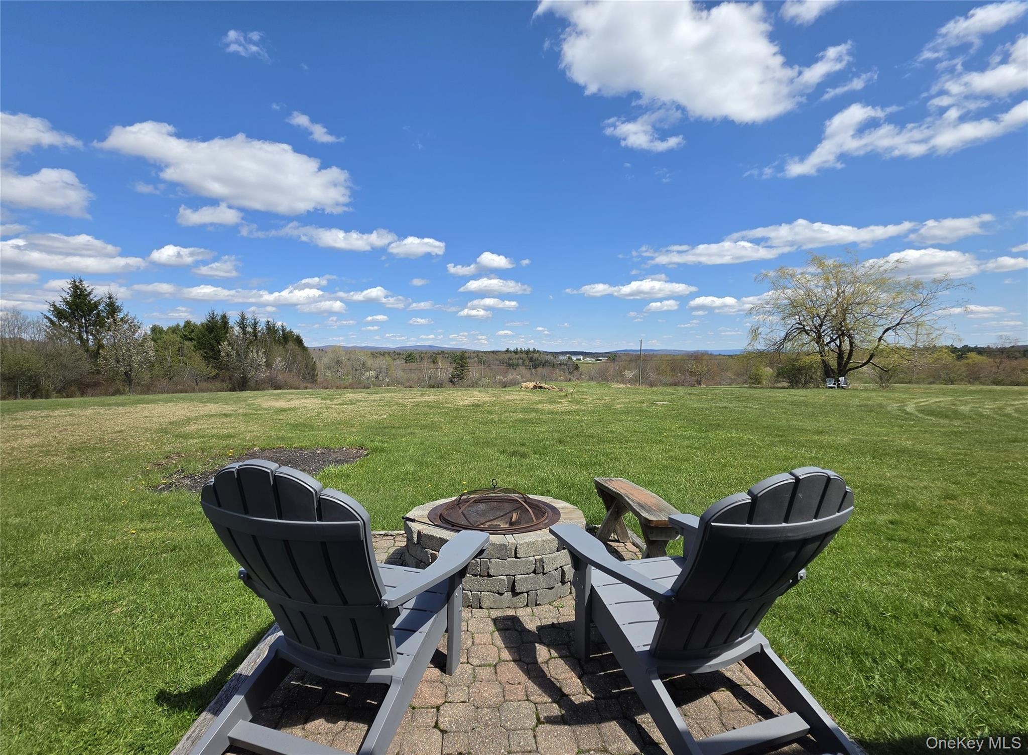 48 Mullen Road Parksville, NY 12768 - Photo 2 of 35 a view of a swimming pool and lounge chairs in back of the house
