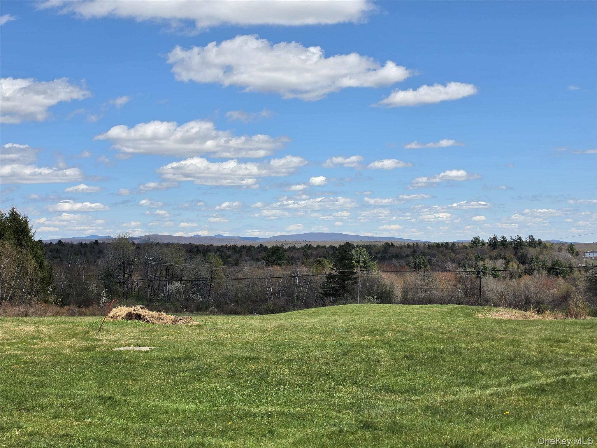 48 Mullen Road Parksville, NY 12768 - Photo 24 of 35