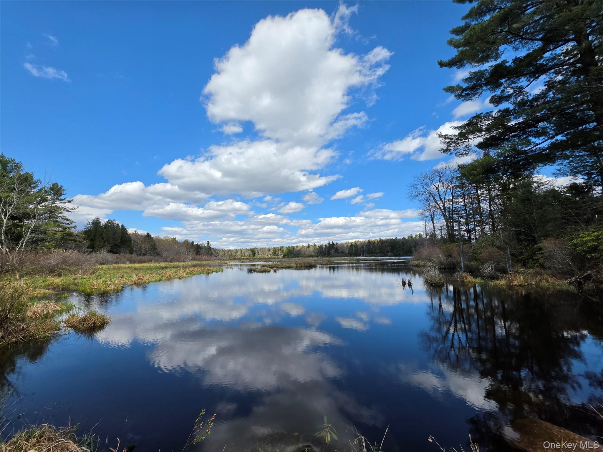 48 Mullen Road Parksville, NY 12768 - Photo 25 of 35