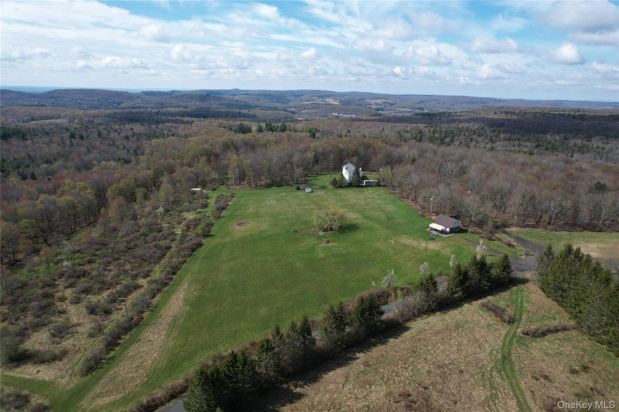 48 Mullen Road Parksville, NY 12768 - Photo 26 of 35 a view of a field with an ocean