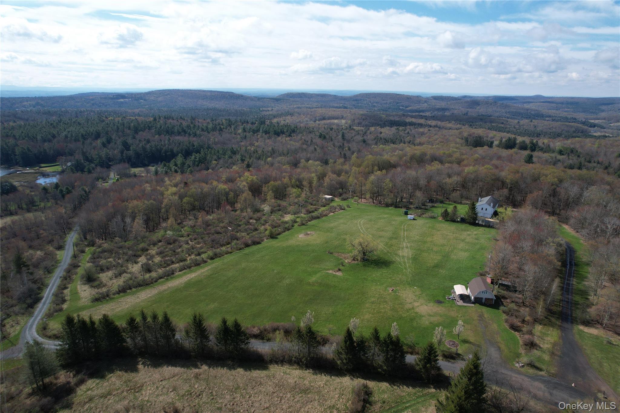 48 Mullen Road Parksville, NY 12768 - Photo 27 of 35 a view of a lush green forest with lots of trees