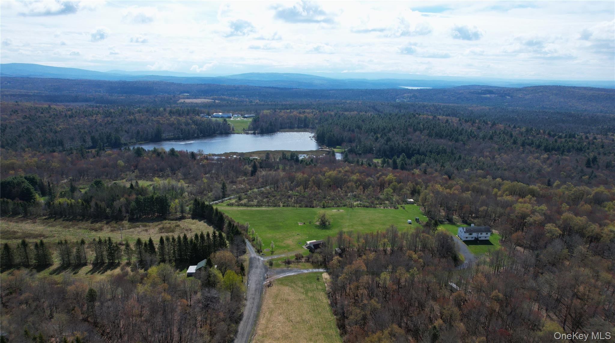 48 Mullen Road Parksville, NY 12768 - Photo 29 of 35 a view of a lake with a city