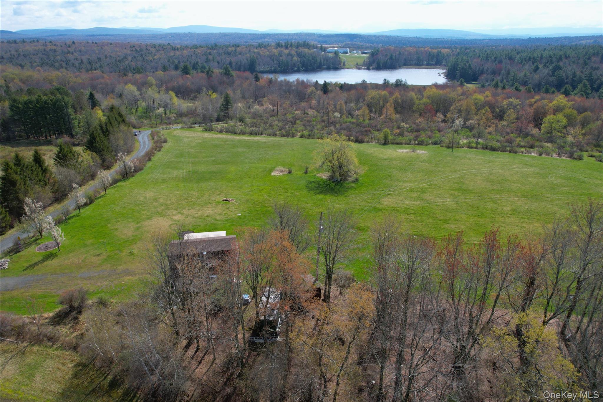 48 Mullen Road Parksville, NY 12768 - Photo 30 of 35 a view of a lush green forest with a mountain and trees