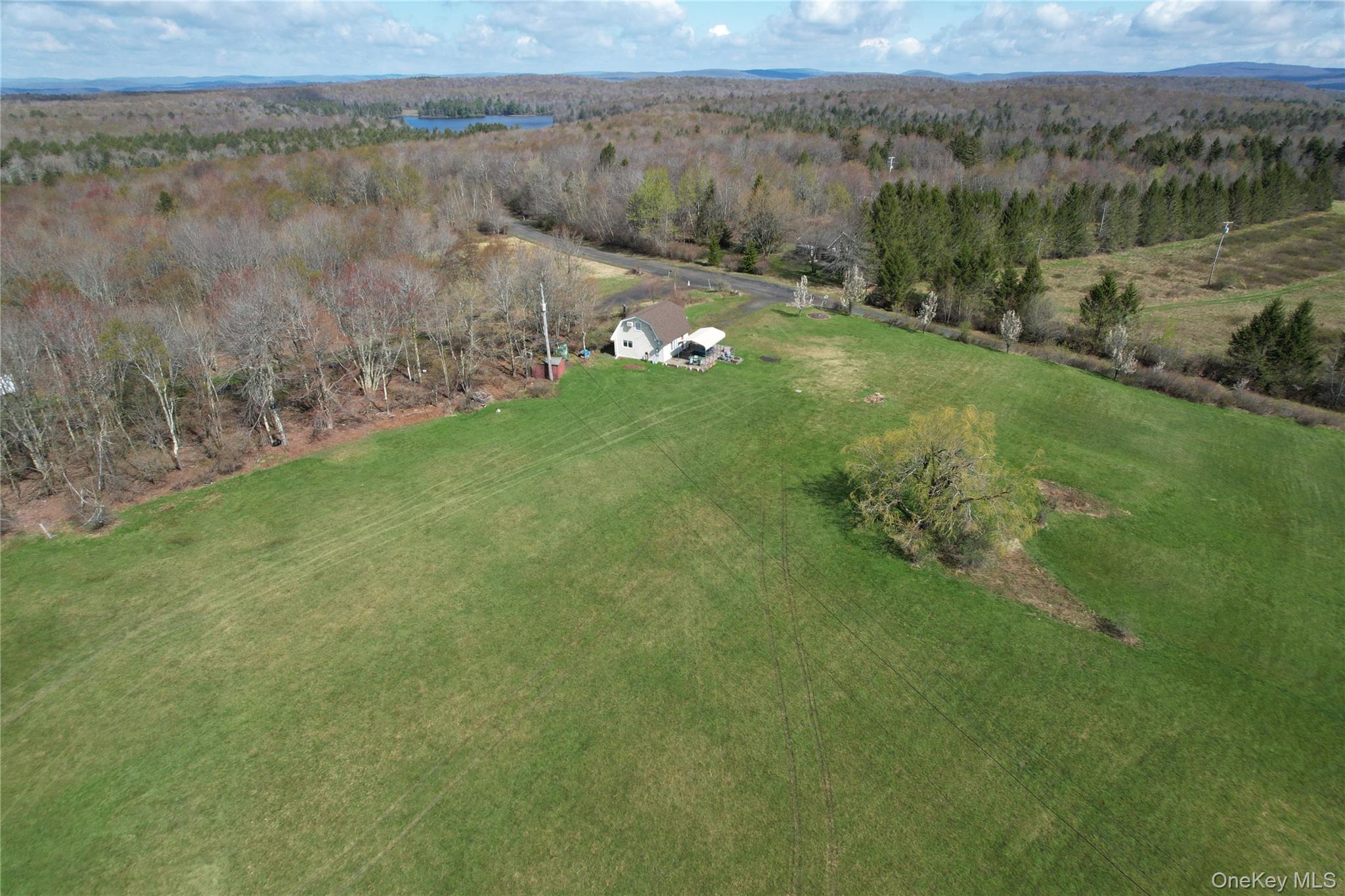 48 Mullen Road Parksville, NY 12768 - Photo 31 of 35 a view of a lake with a mountain