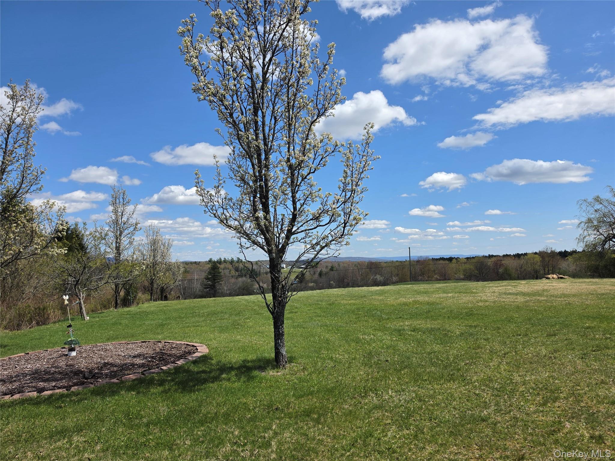48 Mullen Road Parksville, NY 12768 - Photo 32 of 35 a view of a field with tree in the background