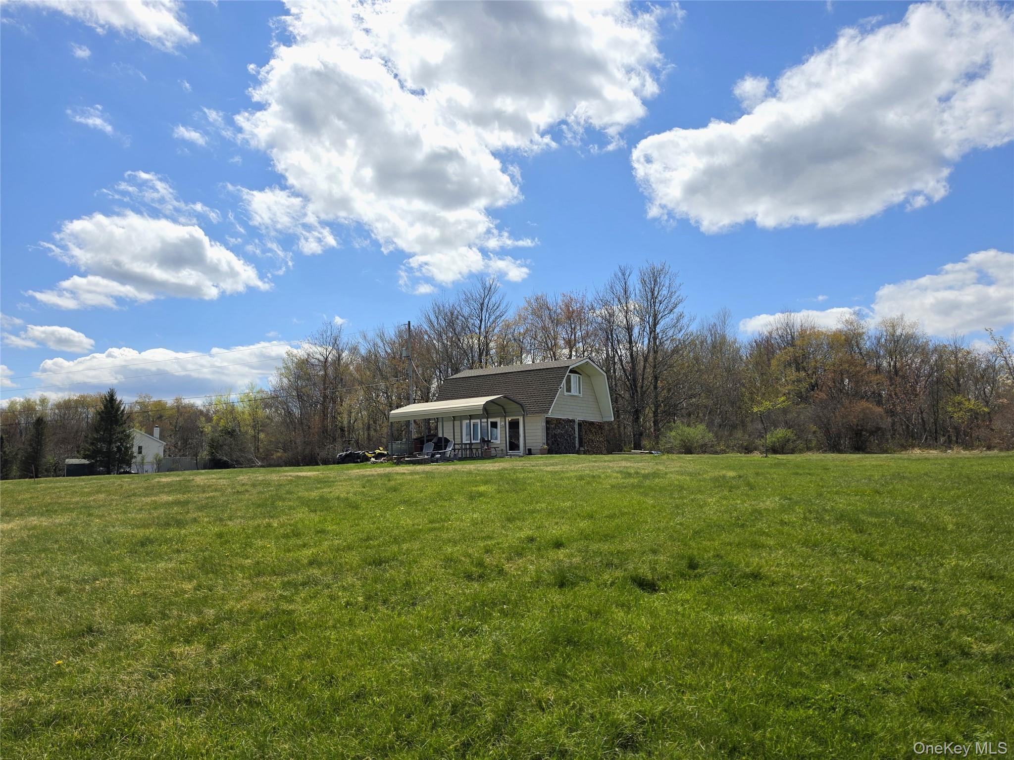 48 Mullen Road Parksville, NY 12768 - Photo 4 of 35 a view of an house with backyard and garden