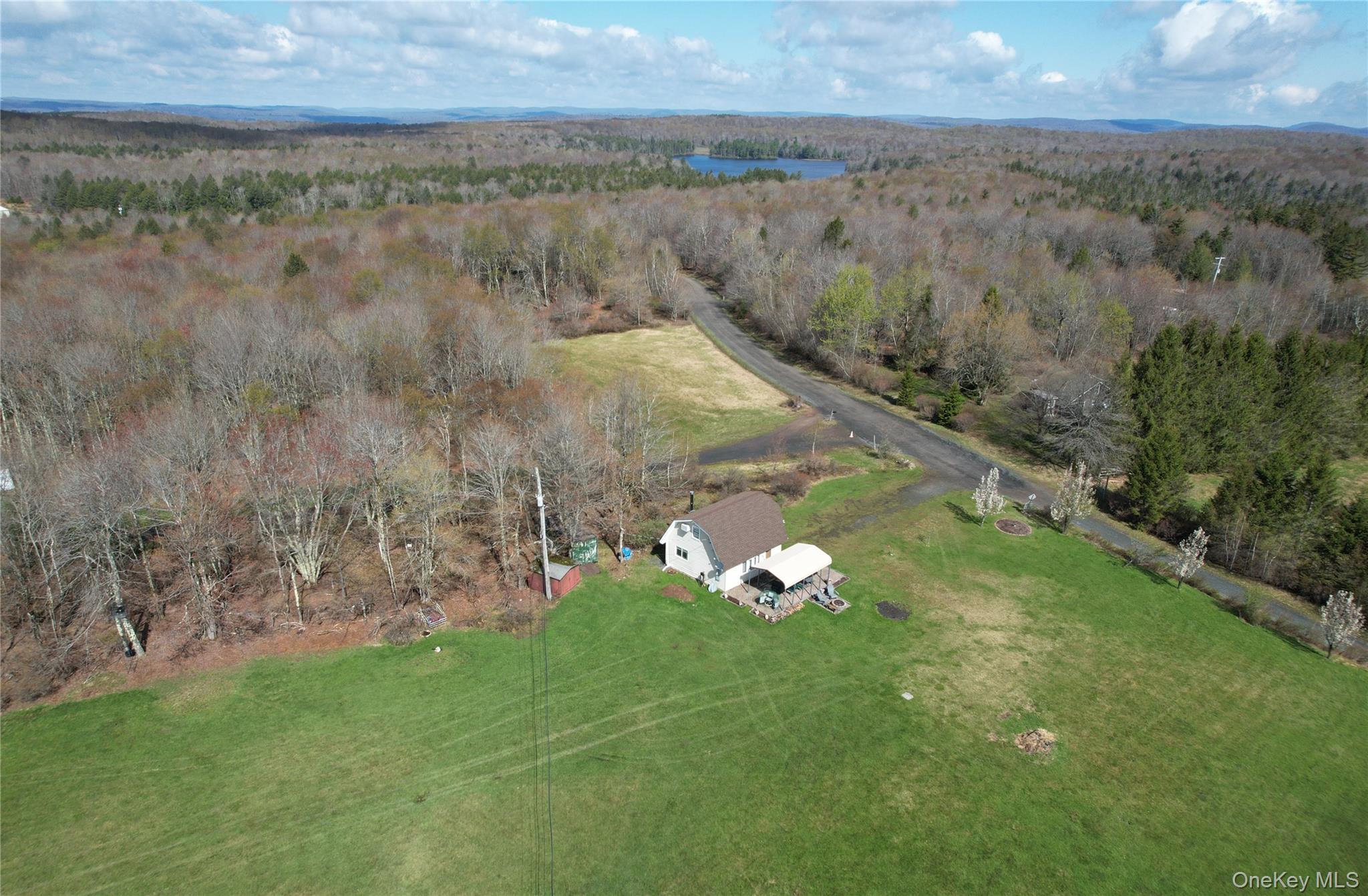 48 Mullen Road Parksville, NY 12768 - Photo 5 of 35 a view of a lush green forest with lots of trees