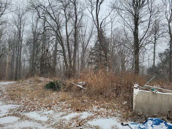 a view of a backyard of the house
