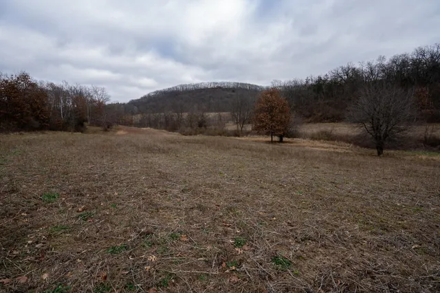 $2,400,000 | 4782 Mounds Park Road, Blue Mounds, WI 53517